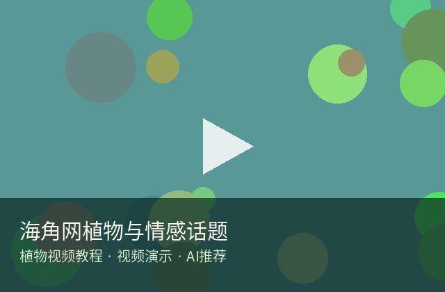 黄色仓库