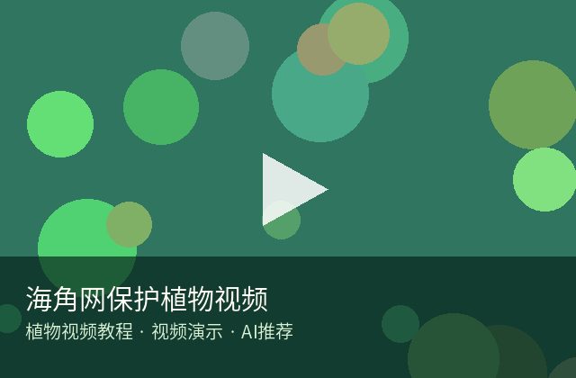 黄色仓库