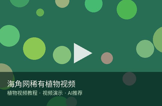 黄色仓库